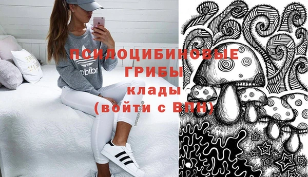 стафф Алексеевка