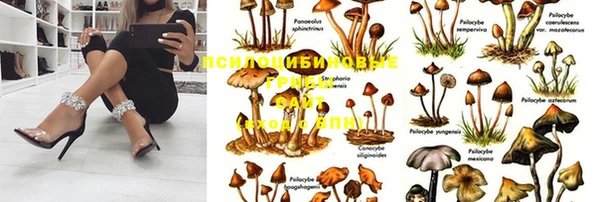 стафф Алексеевка