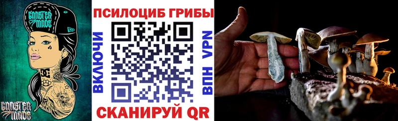 купить наркоту  Тосно  omg рабочий сайт  это какой сайт  Псилоцибиновые грибы мицелий 